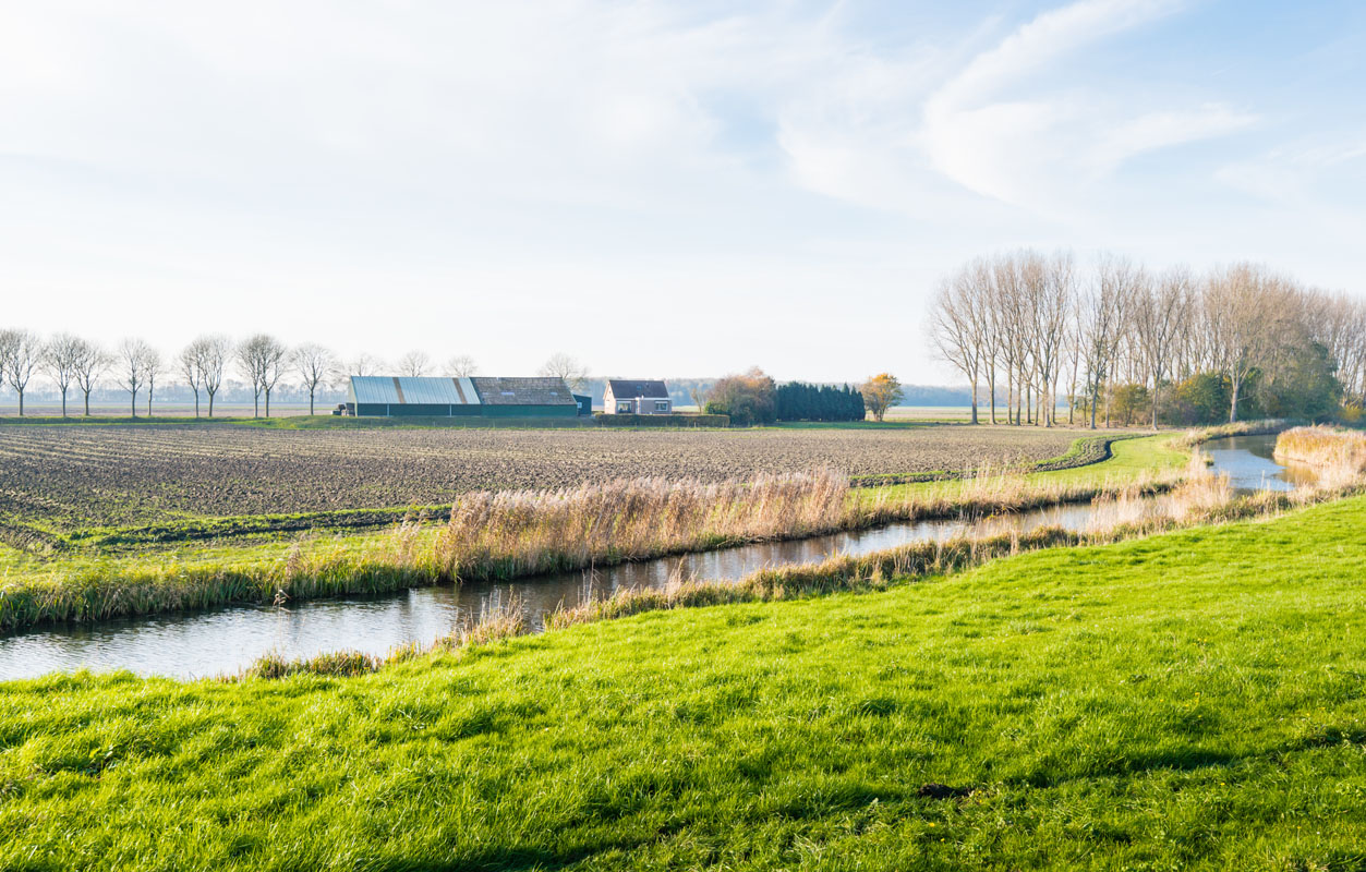 Rural Farm