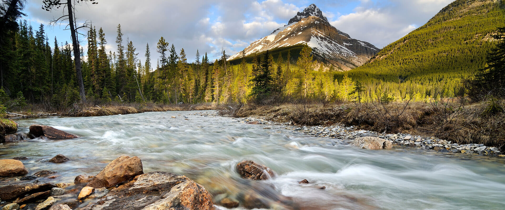 Mountain River Estates Ltd.